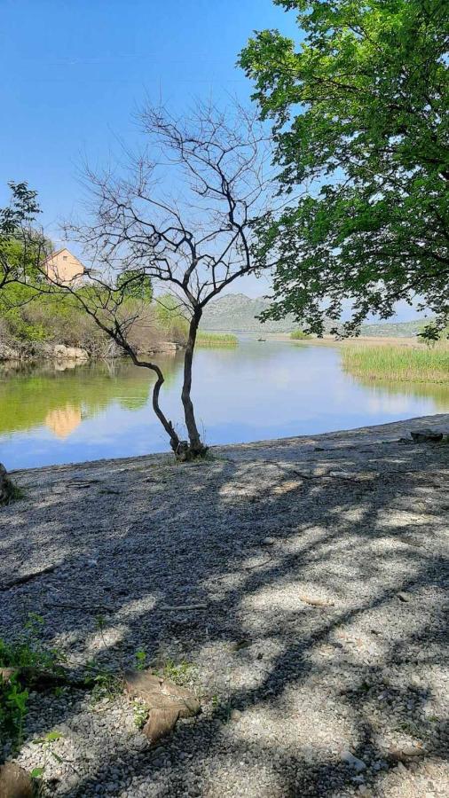 Wild Beauty House Skadar Lake Cetinje Exterior photo